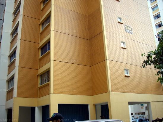 Jurong West Street 91 thumbnail photo